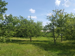 NT objekto nuotrauka