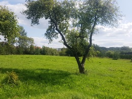 NT objekto nuotrauka