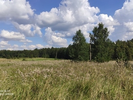 NT objekto nuotrauka