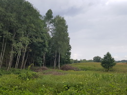 NT objekto nuotrauka