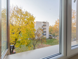 NT objekto nuotrauka