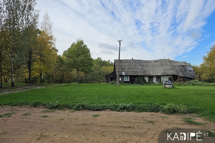 NT objekto nuotrauka