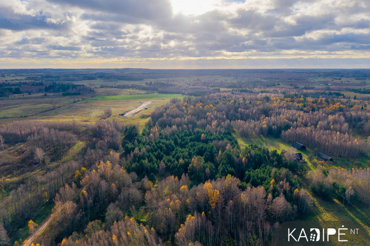 NT objekto nuotrauka